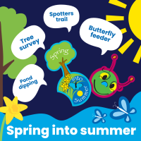 spring_in_to_summer