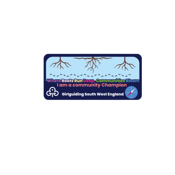 community_champion_badge_main_bottom