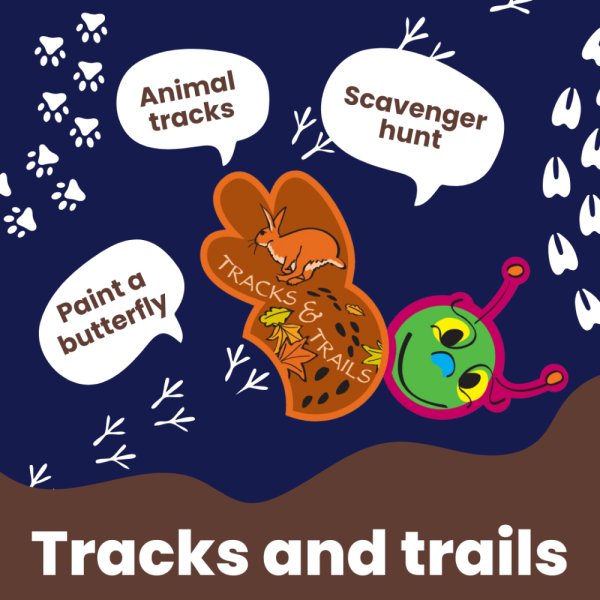 tracks__trails_challenge